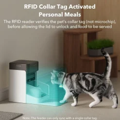 Petlibro Kissan Ruoka-Automaatit|Ruoka-Automaatit*Kissan ruokinta-automaatti One RFID-lukijalla