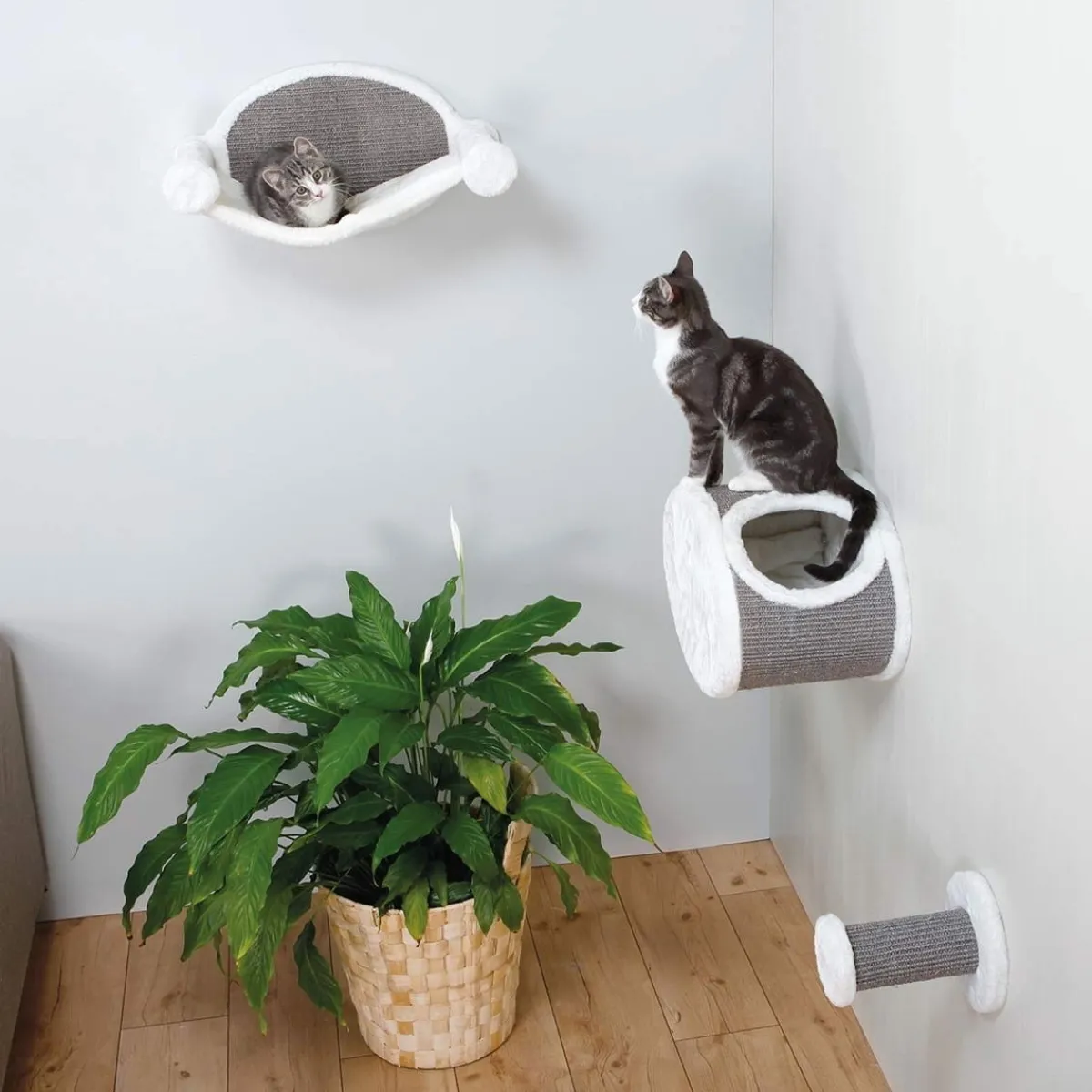 Trixie Kissan Kiipeilypuut Ja Raapimispuut*Kissan seinäaskelma Wall Mounting