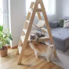 Kerbl Kiipeilypuut|Kissan Kiipeilypuut Ja Raapimispuut*Kissan tikkaat Ladder
