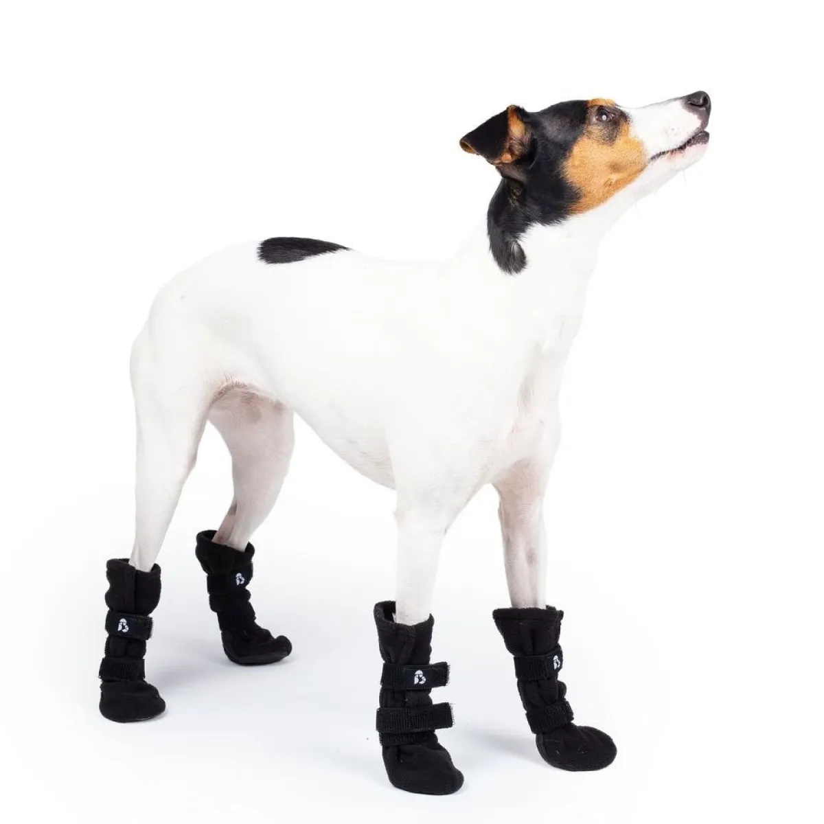 Basic Koiran Vaatteet|Koiran Tossut*Koiran fleecetossut Paws 4kpl
