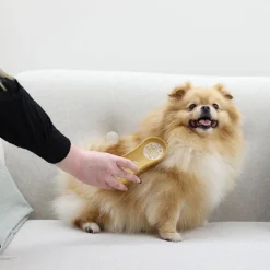 MagicBrush Harjat, Karstat Ja Suat|Koiran Trimmaus Ja Turkinhoito*Koiran harja Dog Soft