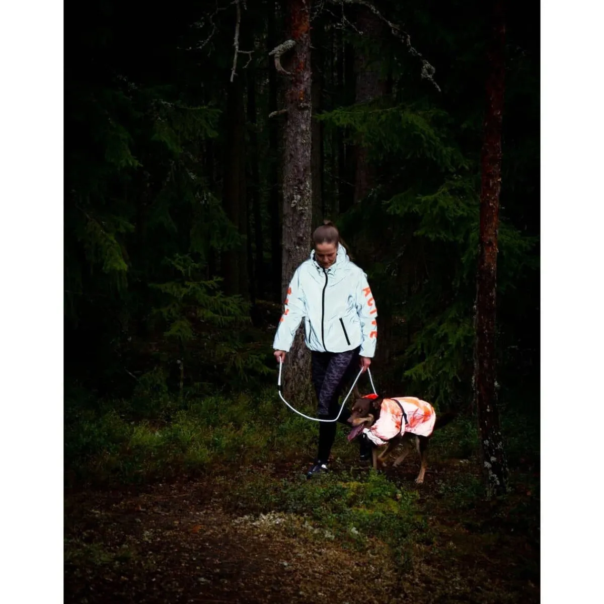 Feel Active Heijastavat Koiran Vaatteet|Koiran Heijastimet Ja Valot*Koiran heijastava sadetakki Color, oranssi