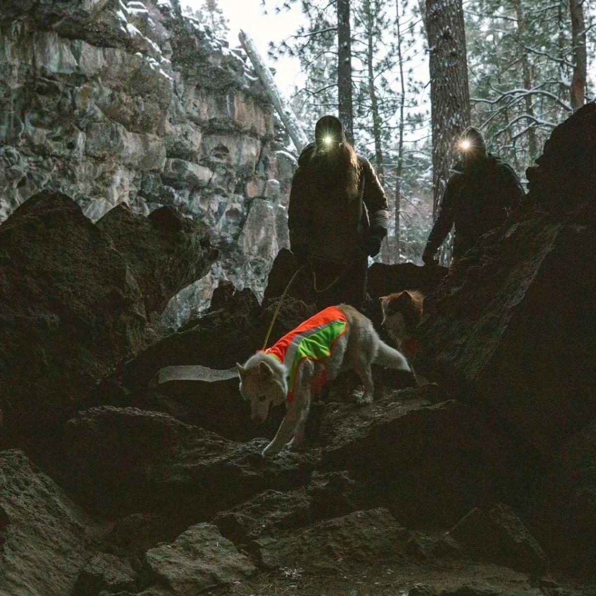RuffWear Koiran Heijastimet Ja Valot|Koiran Vaatteet*Koiran heijastintakki Lumenglow