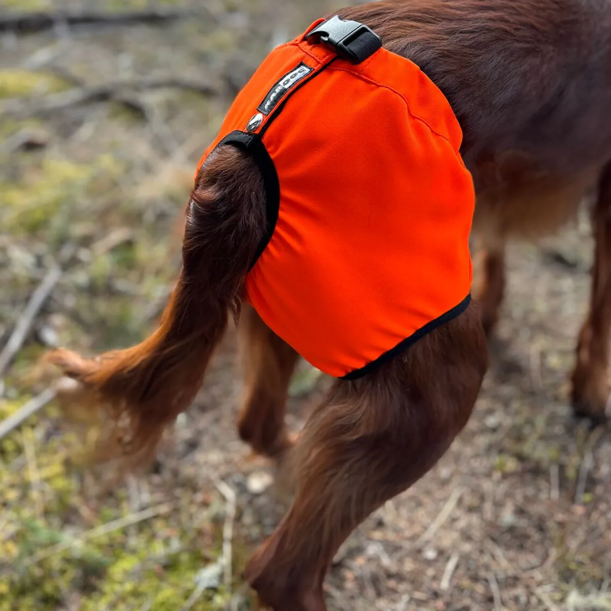 Kardog Koiran Narttu- Ja Urossuojat|Koiran Juoksuhousut Ja Urosvyöt*Koiran kivessuoja Kaapo,