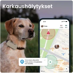 Tractive Retkeily Koiran Kanssa|Retkeily*Koiran paikannin DOG 6