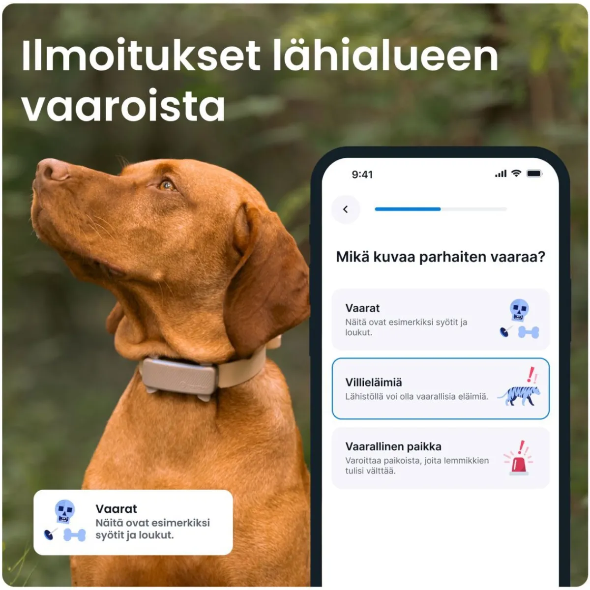 Tractive Retkeily Koiran Kanssa|Retkeily*Koiran paikannin DOG 6