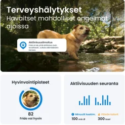 Tractive Retkeily Koiran Kanssa|Retkeily*Koiran paikannin DOG 6