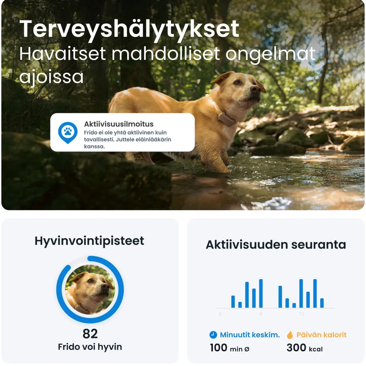 Tractive Retkeily Koiran Kanssa|Retkeily*Koiran paikannin DOG 6