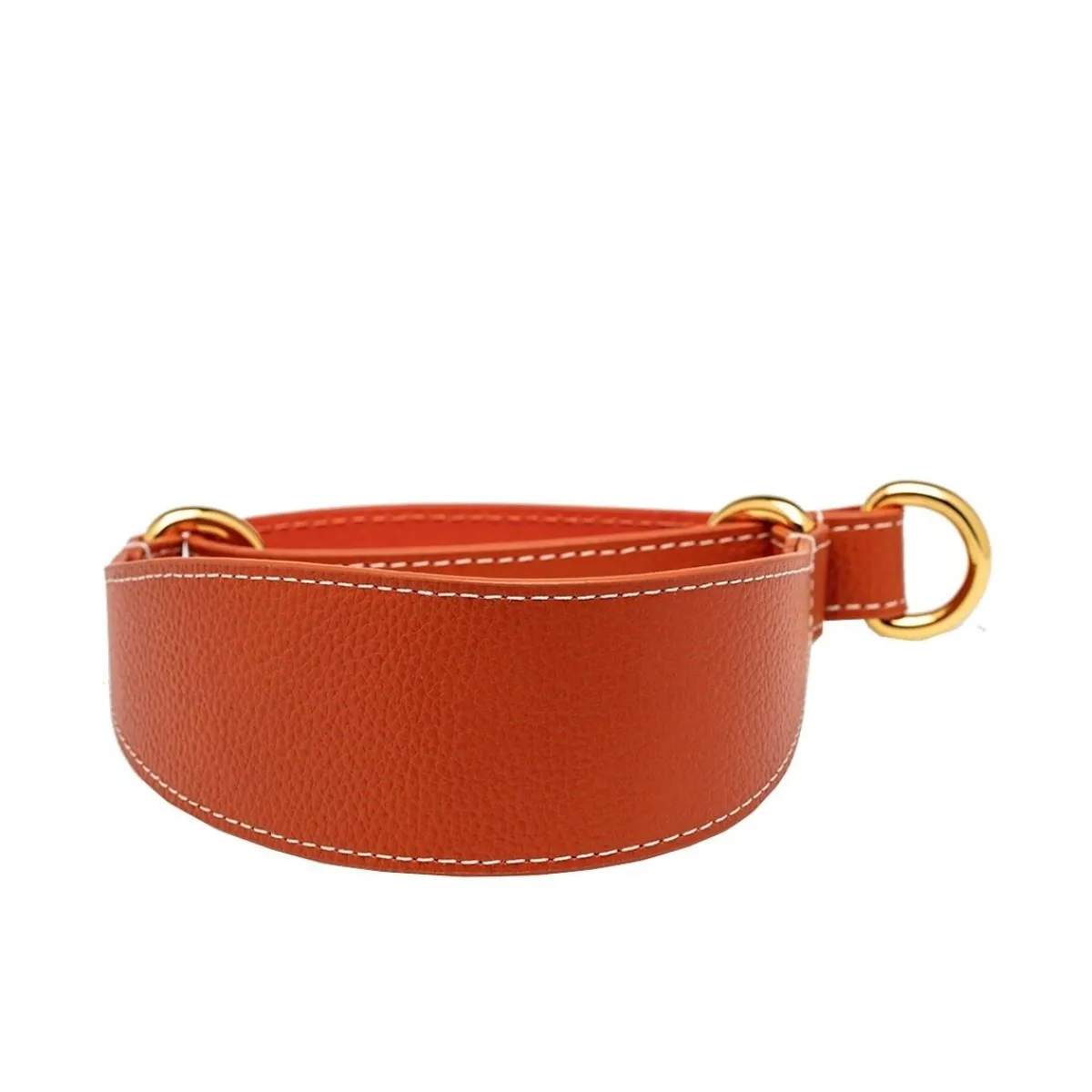 Collar of Sweden Koiran Pannat*Koiran puolikiristävä panta , konjakki