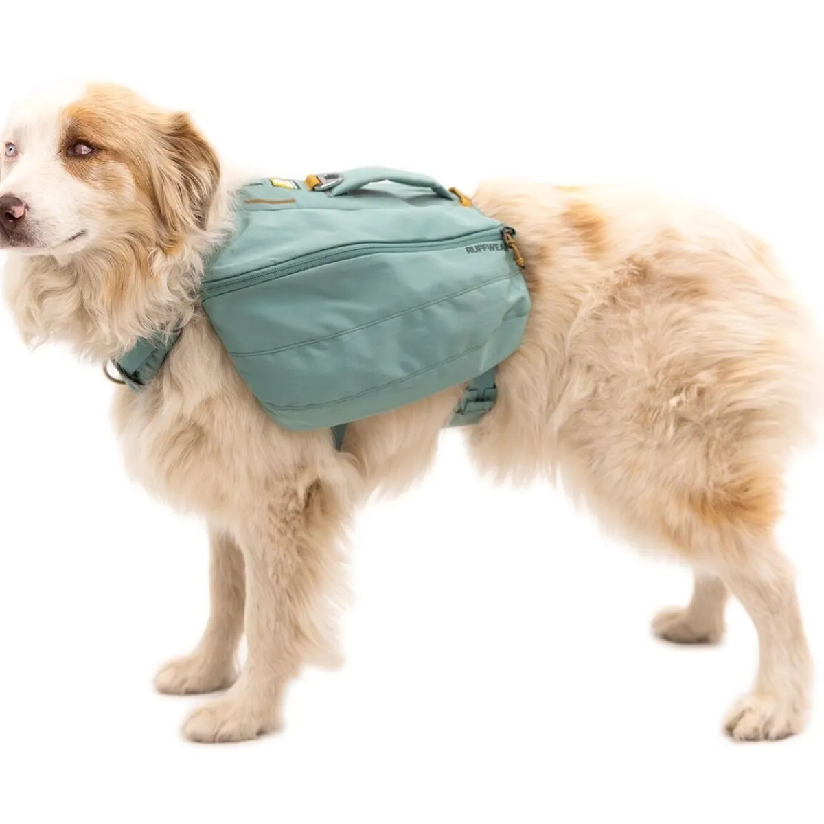 RuffWear Koiran Reput|Retkeily*Koiranreppu Front Range, River Rock Green