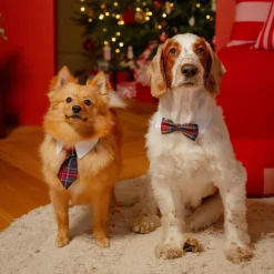 Little&Bigger Koiran Vaatteet|Koirien Jouluasut*Koiran solmio Festive ruutukuvio