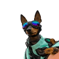K9 Sport Sack Matkustaminen|Koiran Kuljetus Ja Autoilu*Koiran suojalasit K9 Sport Shades, musta