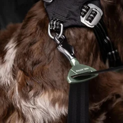 Feel Active Häkit|Turvavyöt, -Valjaat Ja Autoistuimet*Koiran turvavyökiinnike