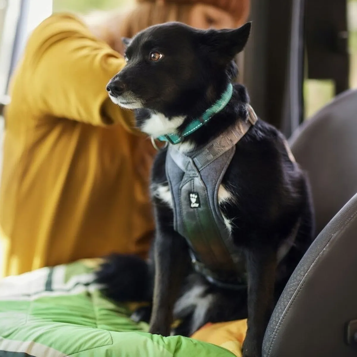 Hurtta Häkit|Turvavyöt, -Valjaat Ja Autoistuimet*Koiran turvavyövaljaat Travel ECO