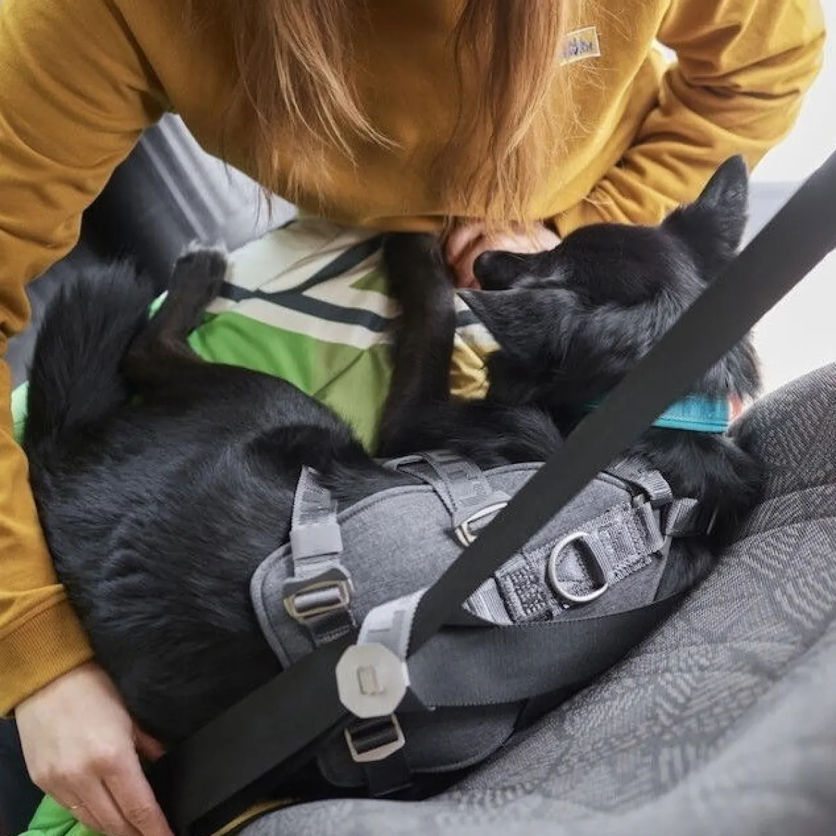 Hurtta Häkit|Turvavyöt, -Valjaat Ja Autoistuimet*Koiran turvavyövaljaat Travel ECO