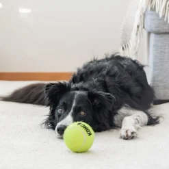 Kong Koiran Pallot*Airdog Squeaker Ball