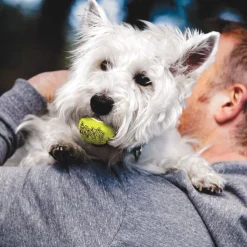 Kong Koiran Pallot Ja Heittolelut|Koiran Pallot*Airdog Squeaker Tennis Ball, 3 kpl