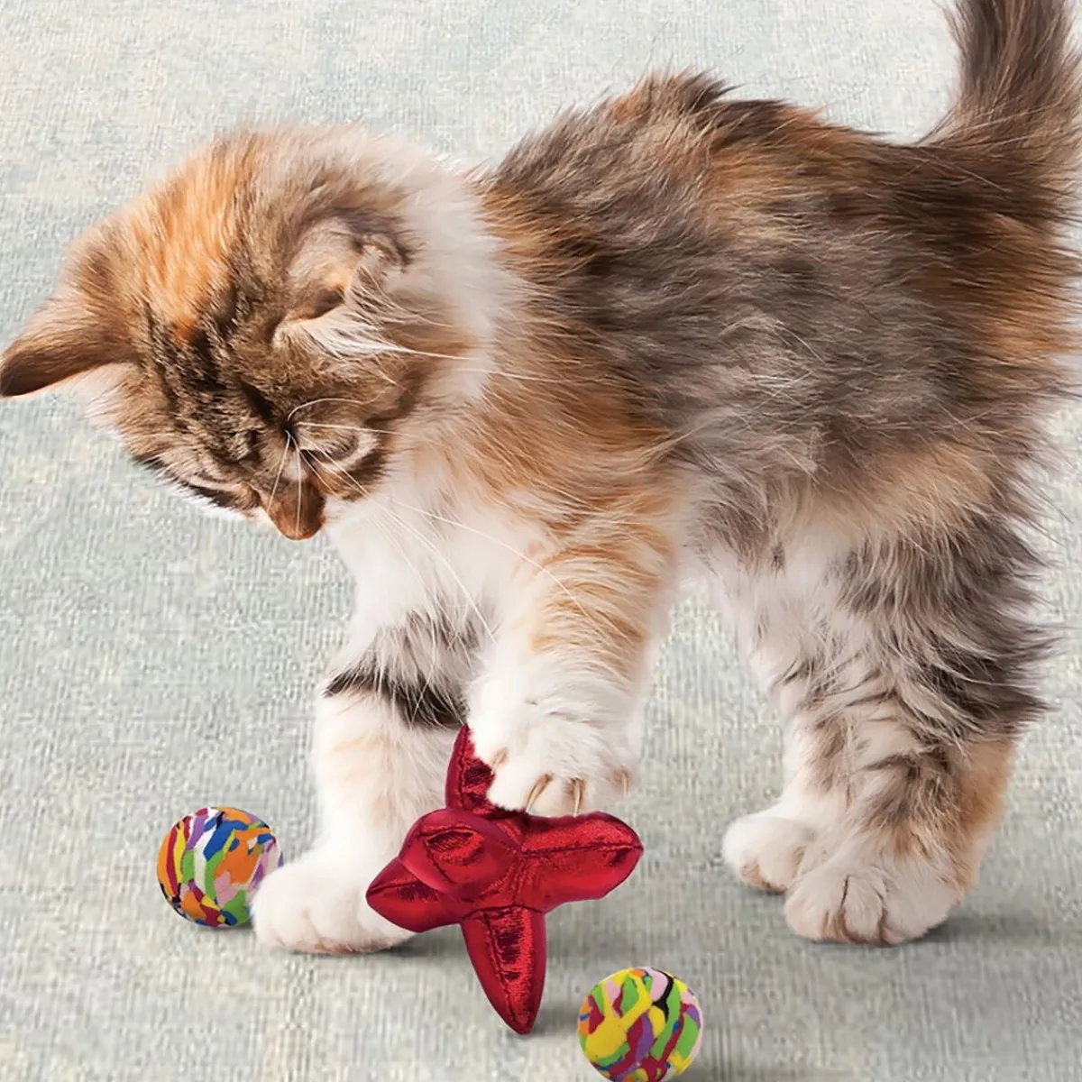 Kong Kissan Pelit Ja Aktivointilelut*Cat Active Jacks 3 kpl