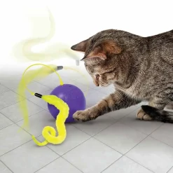 Kong Kissan Pallot|Kissan Pelit Ja Aktivointilelut*Cat Whirlwind aktivointilelu