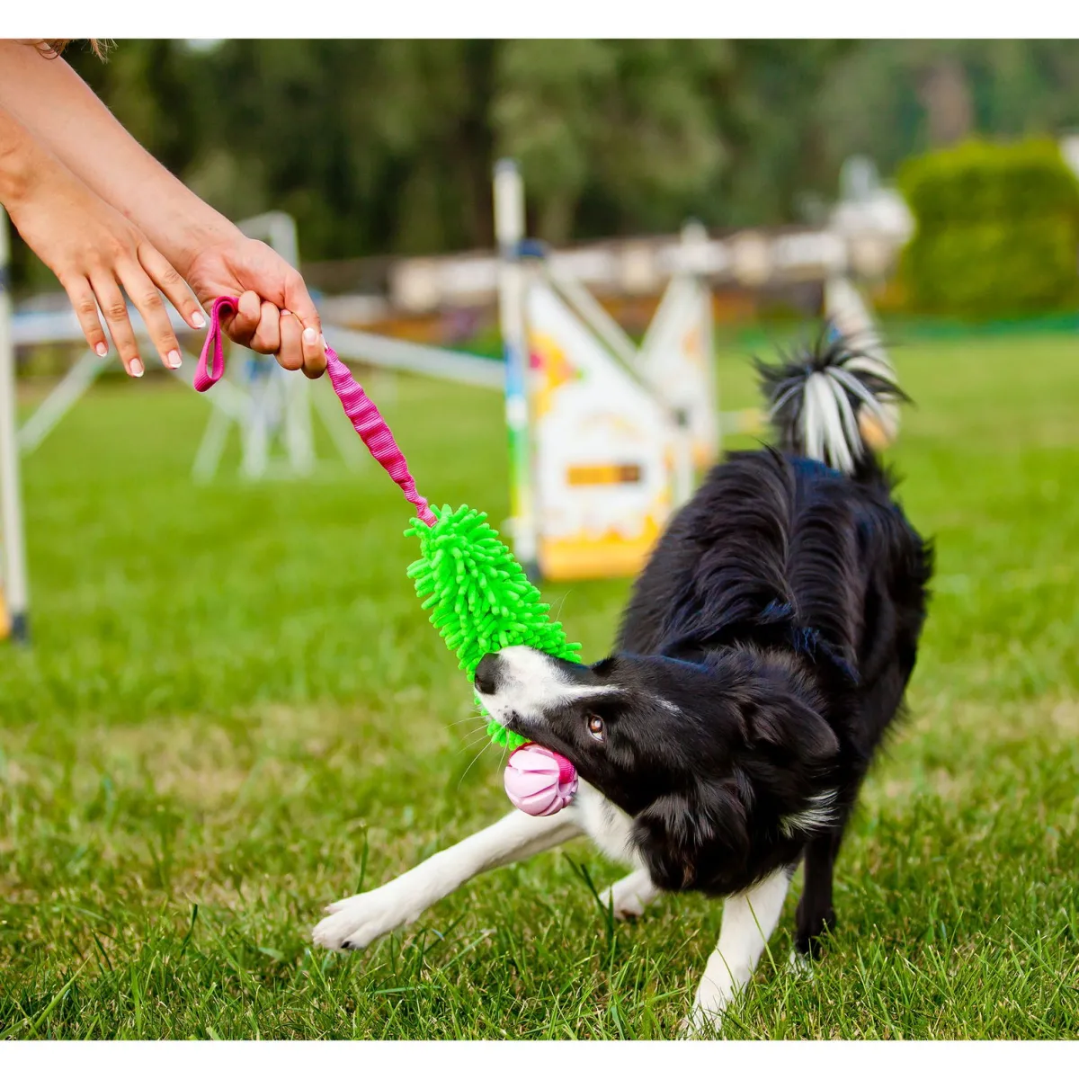 Pro Dog Koiranpennun Lelut|Koiran Pallot Ja Heittolelut*Kumipallo ProDog Bungee Mop Oranssi