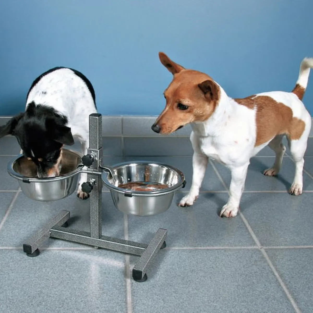 Trixie Koiranpennun Ruokailu|Kuppitelineet Ja Korotetut Kupit*Kuppiteline Dog Bar