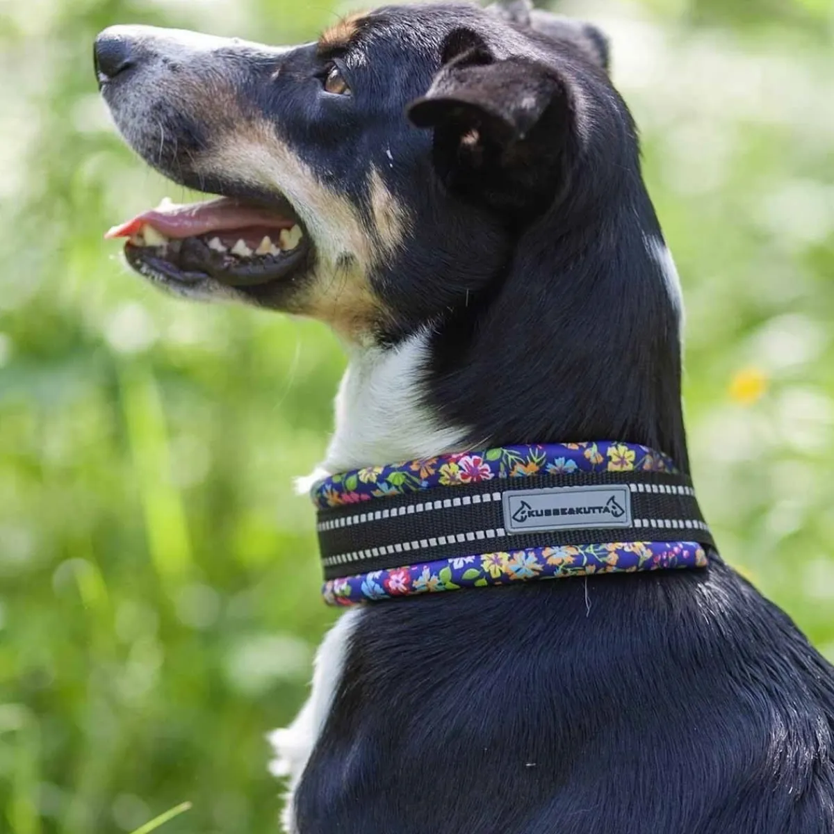 Kusse & Kutta Koiran Pannat*Kusse&Kutta extraleveä lycra-panta, pikkukukat