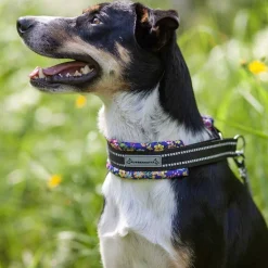 Kusse & Kutta Koiran Pannat*Kusse&Kutta extraleveä lycra-panta, pikkukukat