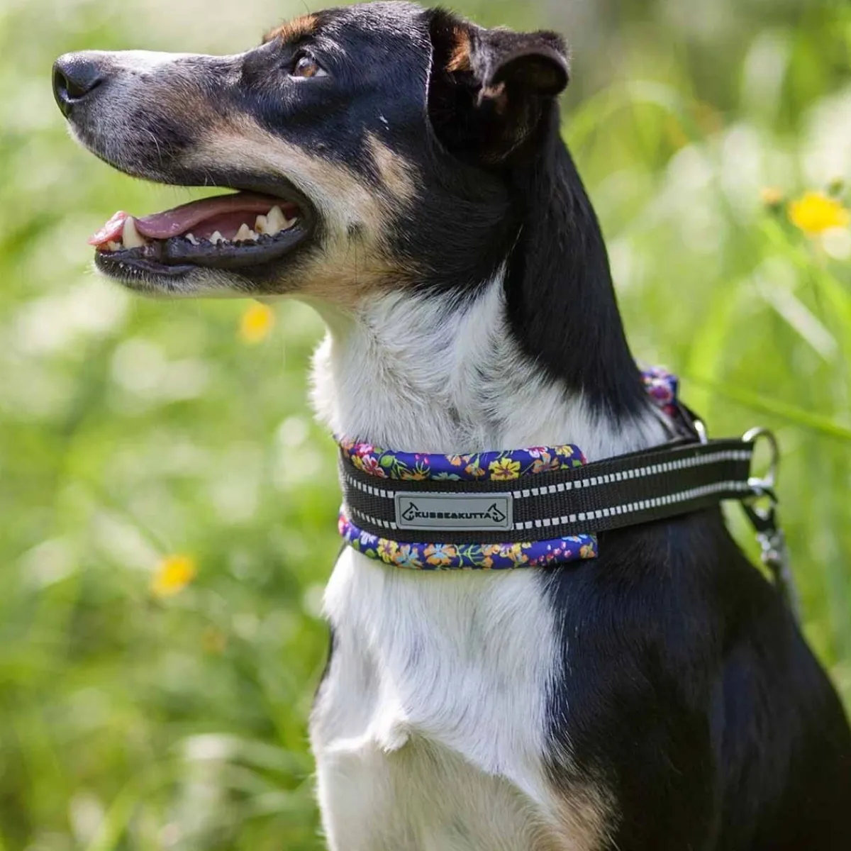 Kusse & Kutta Koiran Pannat*Kusse&Kutta extraleveä lycra-panta, pikkukukat