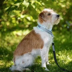 Kusse & Kutta Koiran Hihnat Ja Flexit*Kusse&Kutta kotimainen grip-hihna BGB-lukolla, 300 cm