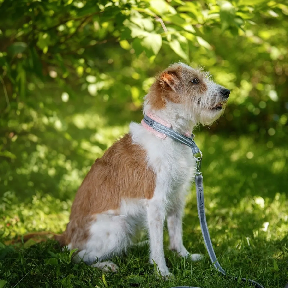 Kusse & Kutta Koiran Hihnat Ja Flexit*Kusse&Kutta kotimainen grip-hihna BGB-lukolla, 300 cm