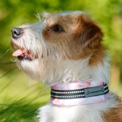 Kusse & Kutta Koiran Pannat*puolikiristävä panta, hento ruusu