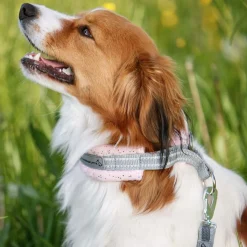 Kusse & Kutta Koiran Pannat*Kusse&Kutta puolikiristävä pehmopanta, vaaleanpunainen kimalle