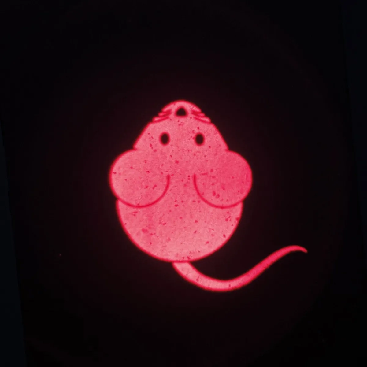Trixie Kissan Laserlelut|Kissan Pelit Ja Aktivointilelut*Laservalo Led mouse, ladattava