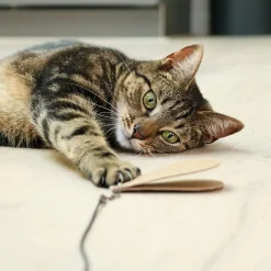 I Love Happy Cats Kissanhuiskat Ja -Onget*Lelut Connor-kissanonkeen 3 kpl