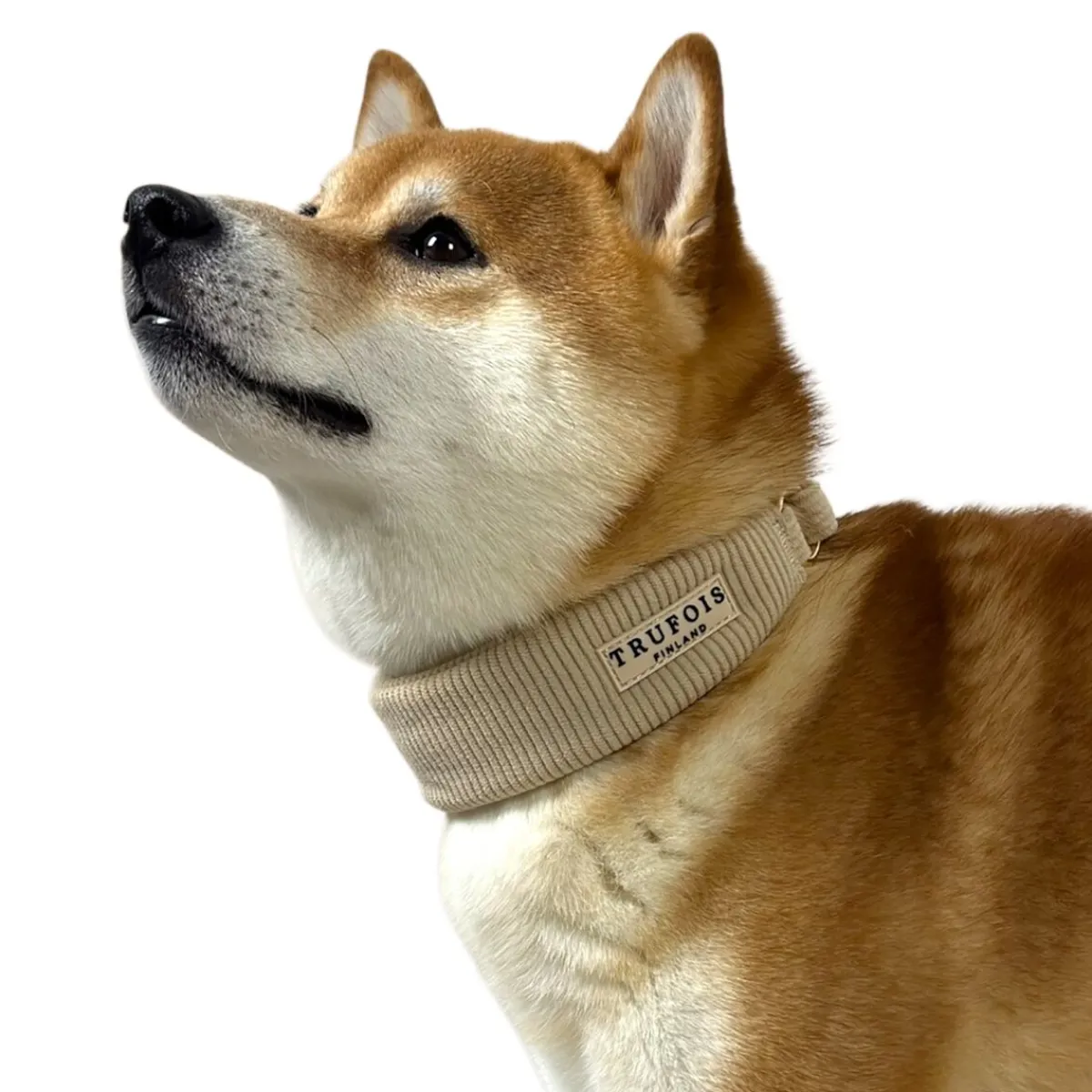 Trufois Koiran Pannat|Uutuudet Koirille*Leveä kaulapanta , latte beige
