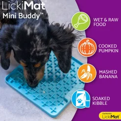 LickiMat Koiranpennun Ruokailu|Aktivointikupit Ja Nuolumatot*Mini Buddy nuolumatto, turkoosi