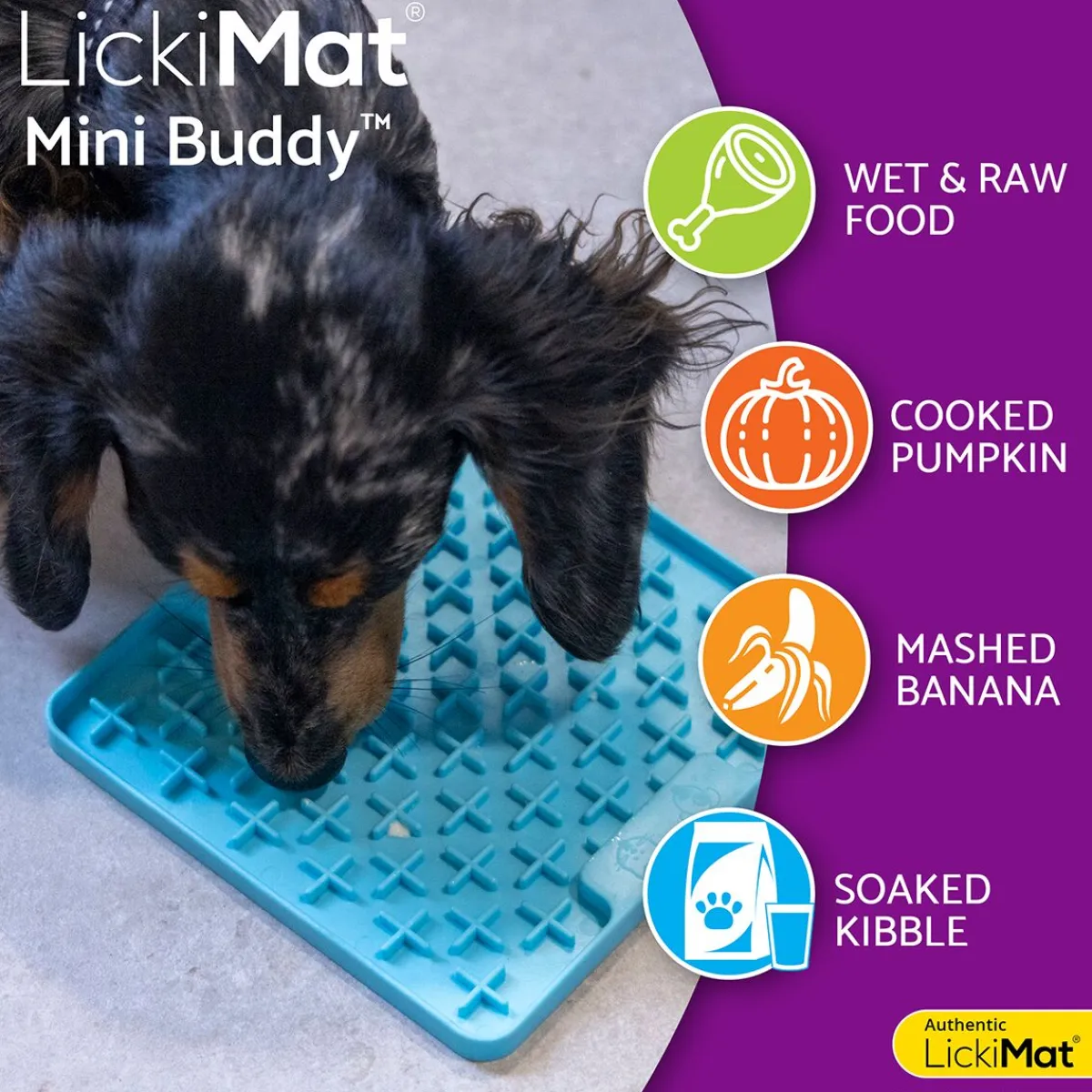 LickiMat Koiranpennun Ruokailu|Aktivointikupit Ja Nuolumatot*Mini Buddy nuolumatto, turkoosi