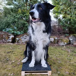 Loype Toko*Hamtal Tartan kumipäällysteinen puutargetti
