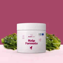 Buddy Öljyt, Vitamiinit Ja Lisäravinteet|Hoito Ja Terveys*Merilevä koiralle Care Kelp Formula 250 g