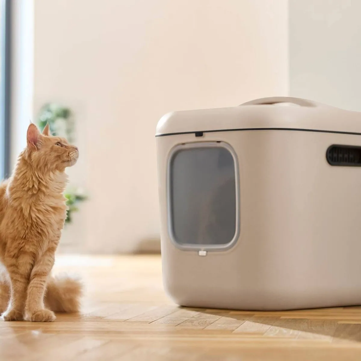 Rotho Kissanvessat|Tarjoukset Kissoille*MyPet Biala Kissanvessa XL