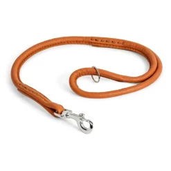 Show Dog Koiranäyttelyt|Koiran Hihnat Ja Flexit*Nahkainen näyttelyhihna , 60 cm