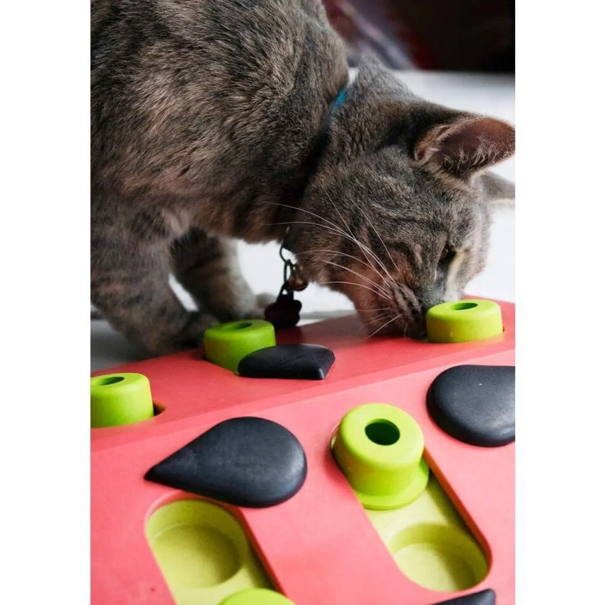 Nina Ottosson Kissan Pelit Ja Aktivointilelut*Cat Melon Madness Puzzle and Play punainen