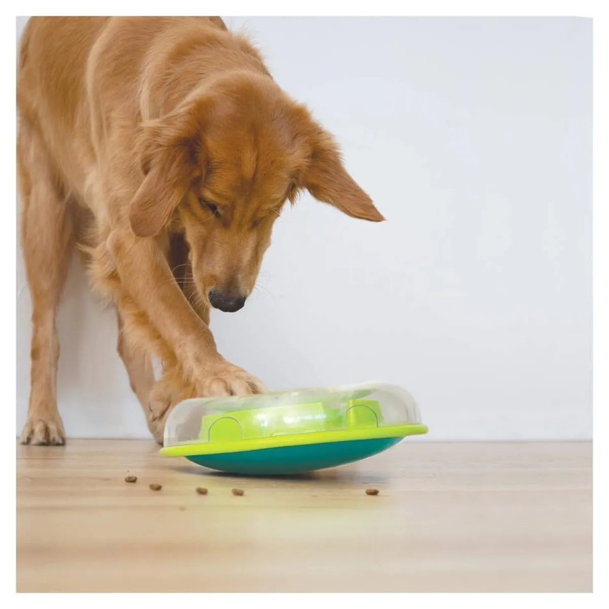 Nina Ottosson Koiran Aktivointilelut Ja -Pelit*Dog Wobble Bowl lime