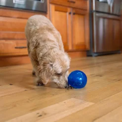 Nina Ottosson Koiran Aktivointilelut Ja -Pelit*Outward Hound Lil Snoop, sininen