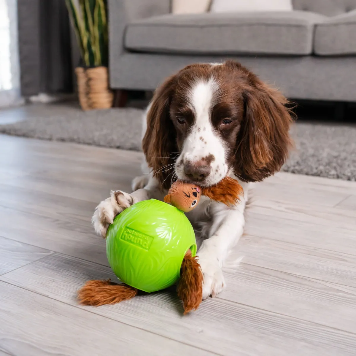 Nina Ottosson Koiran Aktivointilelut Ja -Pelit*Snuffle N’ Treat Ball S