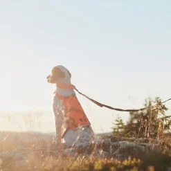 Non-stop dogwear Koiran Heijastimet Ja Valot|Koiran Vaatteet*Non-Stop Camo huomioliivi oranssi