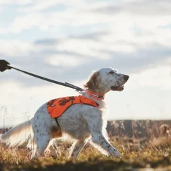 Non-stop dogwear Koiran Heijastimet Ja Valot|Koiran Vaatteet*Non-Stop Camo huomioliivi oranssi