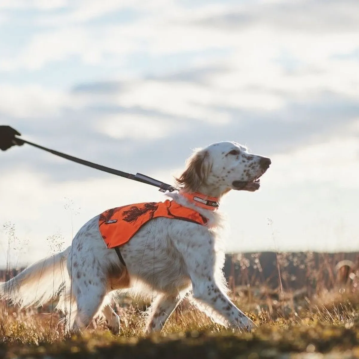 Non-stop dogwear Koiran Heijastimet Ja Valot|Koiran Vaatteet*Non-Stop Camo huomioliivi oranssi