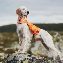 Non-stop dogwear Koiran Heijastimet Ja Valot|Koiran Vaatteet*Non-Stop Camo huomioliivi oranssi