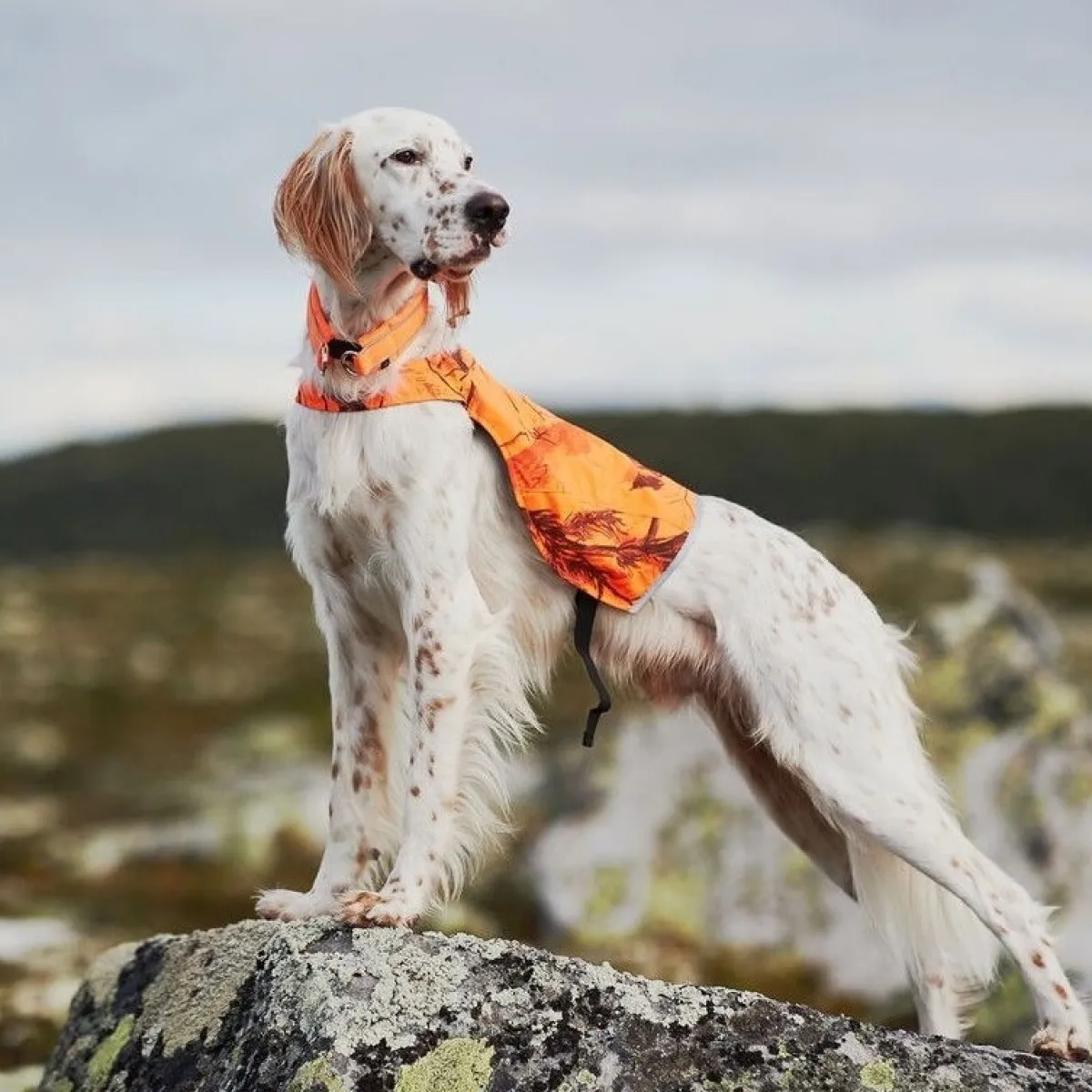 Non-stop dogwear Koiran Heijastimet Ja Valot|Koiran Vaatteet*Non-Stop Camo huomioliivi oranssi